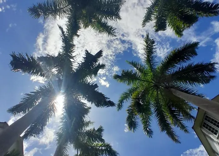 27 Ocho Rios